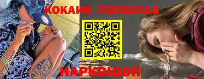 шишки Заволжье