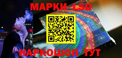 шишки Заволжье