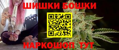 шишки Заволжье
