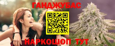 шишки Заволжье