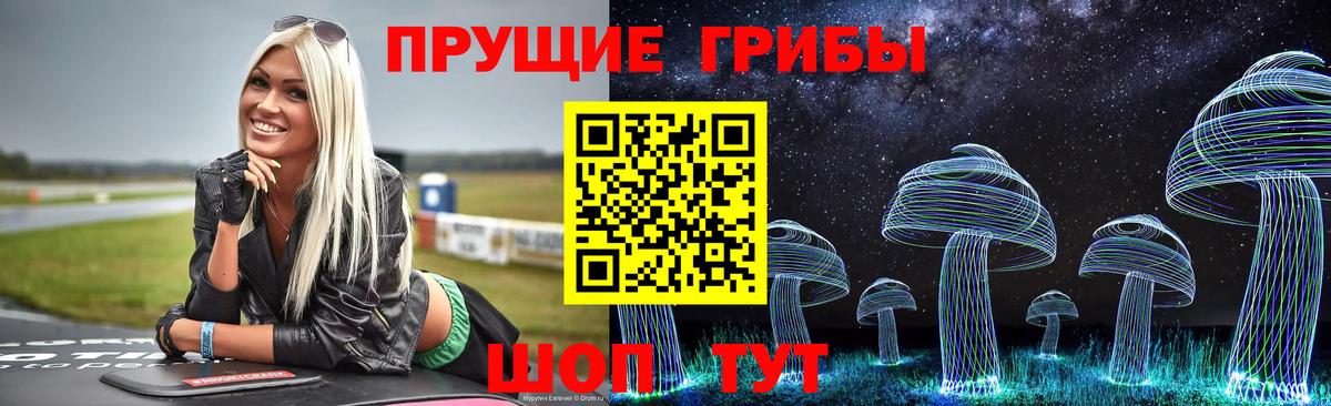 Псилоцибиновые грибы Psilocybe Заречный